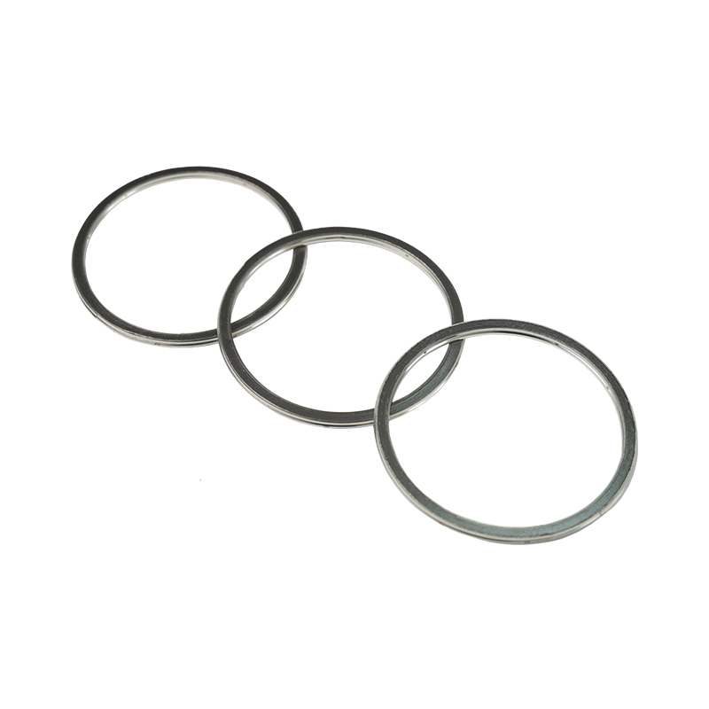 304 Steel Outer Ring, Graphite Spiral Wound Gasket